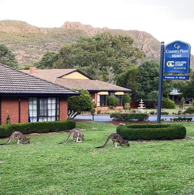 Golden Chain Country Plaza Motel Halls Gap Exterior photo